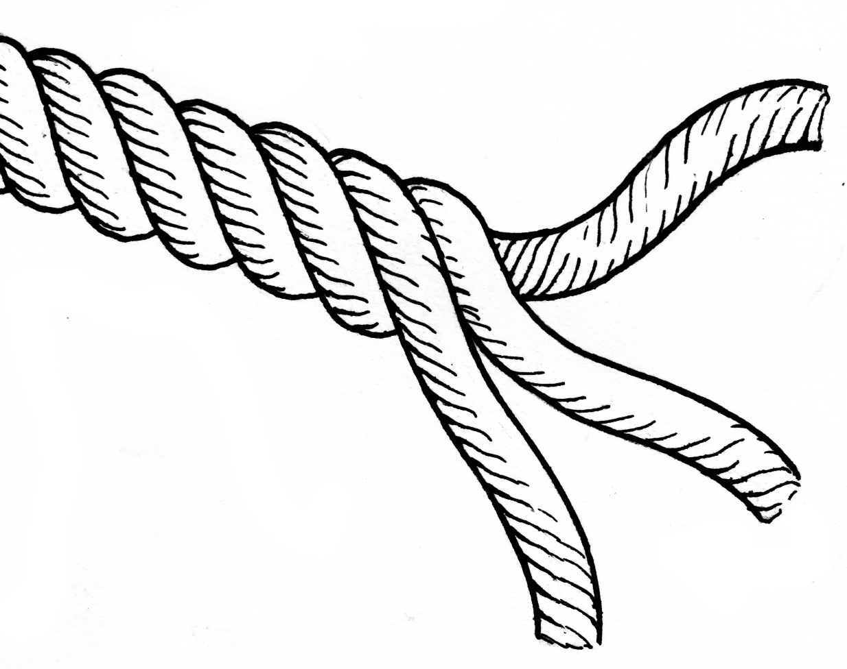 Braided rope, uncurling into straight fibers
